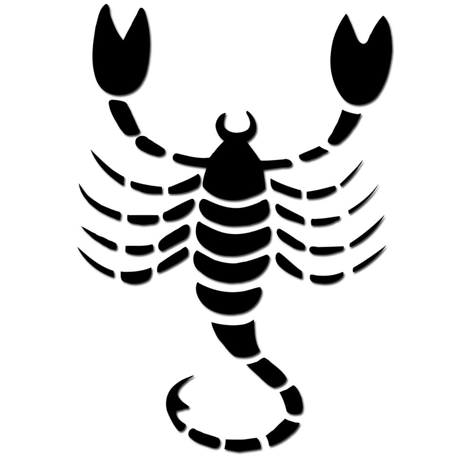 Scorpio Prediction For Career,Love Life And Health | Tarot School of India