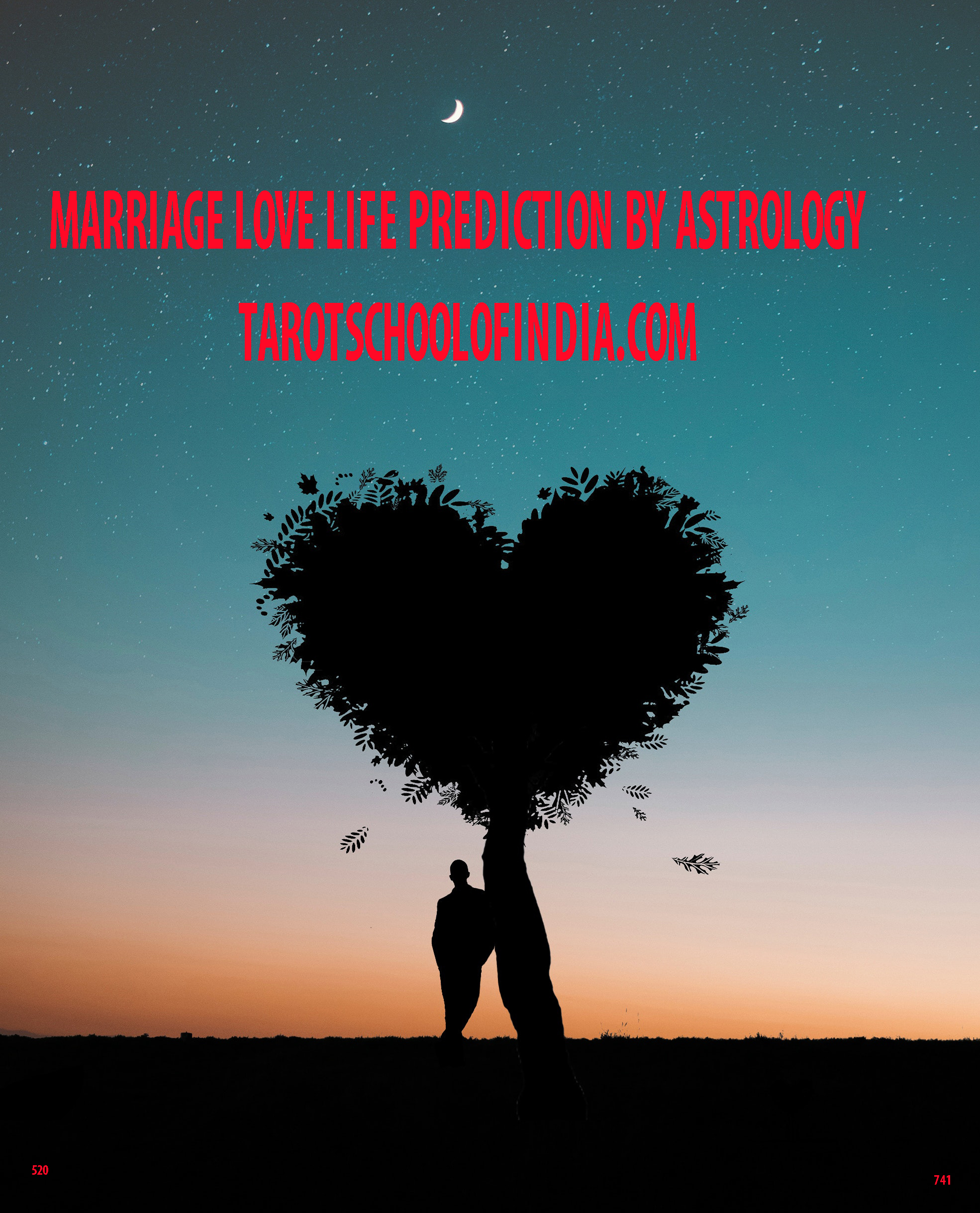 Marriage Love Life Prediction by Astrology Tarot School of India